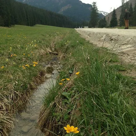 Krzeptowki 135 *